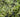 Epidote Stone: History, Formation, & Metaphysical Properties