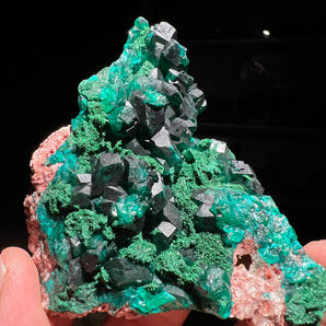 Dioptase mineral specimen from Tantara Mine, Haut-Katanga, Congo - 7.2 x 8.8 x 2.5 cm
