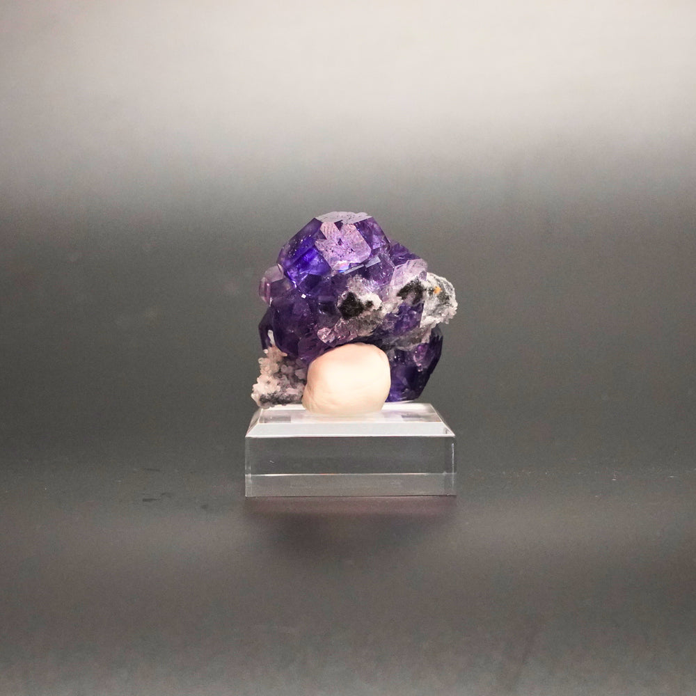 Tanzanite Fluorite – Violet Crystal for Focus & Balance
