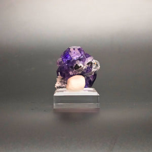 Tanzanite Fluorite – Violet Crystal for Focus & Balance