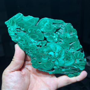 Malachite Slab from Mashamba West Mine, Congo - 16.8 x 10.3 x 1.3 cm