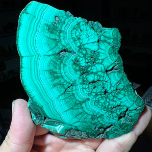 Malachite Slab from Mashamba West Mine, Congo - 11.7 x 9.1 x 1.1 cm