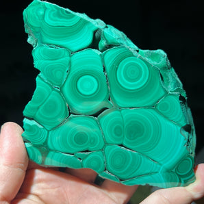 Malachite Slab from Mashamba West Mine, Congo - 11.5 x 9.6 x 1.3 cm