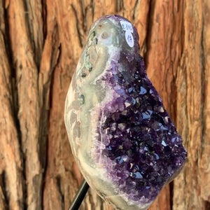 14cm 2.34kg Polished Amethyst Cluster on Stand from Uruguay