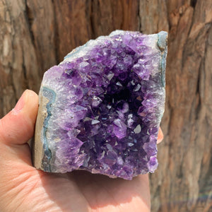 9.7cm 702g Amethyst Cluster from Uruguay
