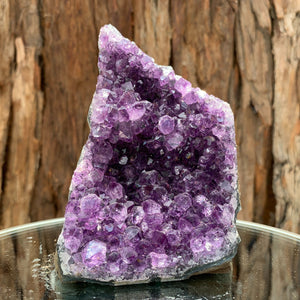 
            
                Load image into Gallery viewer, 12cm 528g Amethyst Cluster from Uruguay
            
        