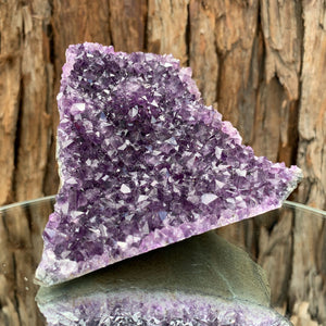 11.5cm 640g Amethyst Cluster from Uruguay