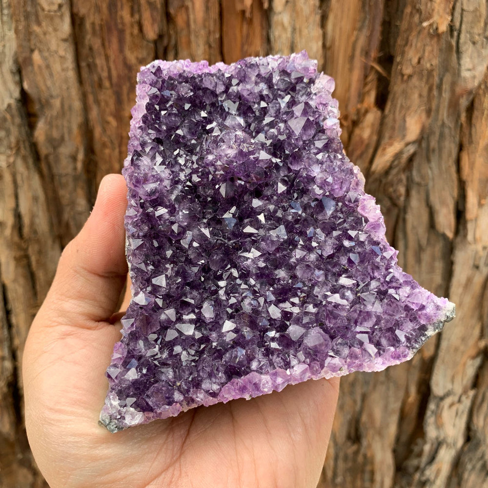 11.5cm 640g Amethyst Cluster from Uruguay