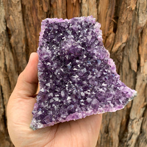 11.5cm 640g Amethyst Cluster from Uruguay