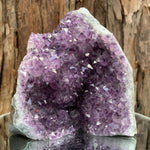 13.5cm 1.52kg Amethyst Cluster from Uruguay