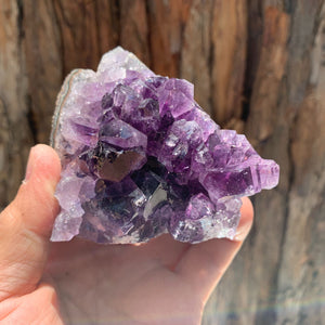 7.5cm 348g Amethyst Cluster from Uruguay