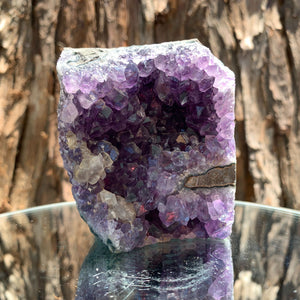8.5cm 464g Amethyst Cluster from Uruguay