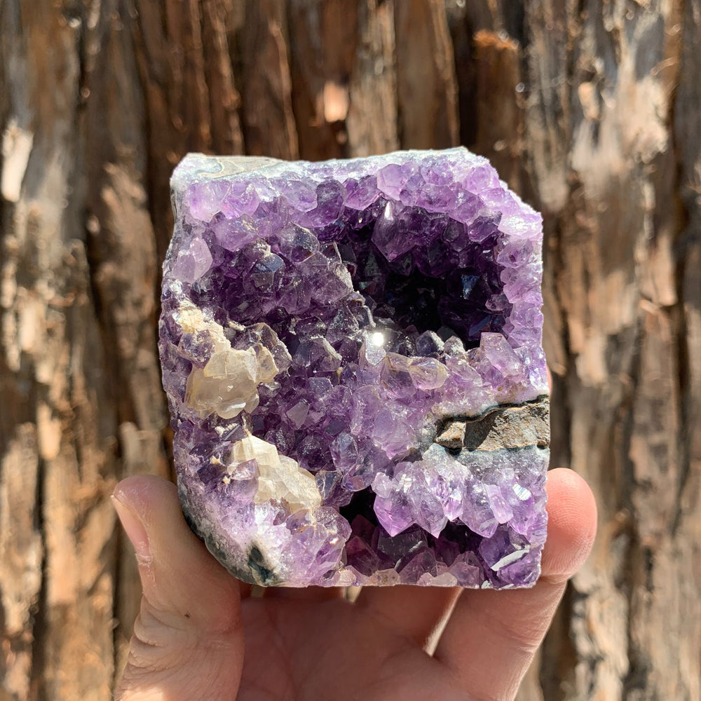 8.5cm 464g Amethyst Cluster from Uruguay
