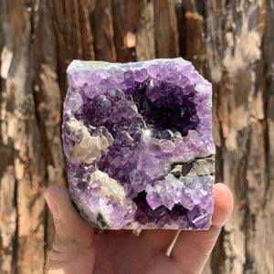 8.5cm 464g Amethyst Cluster from Uruguay