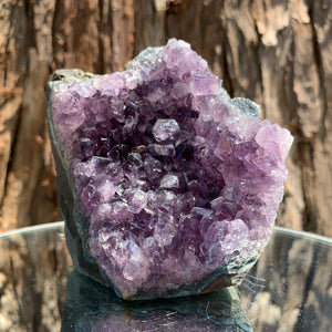 9.2cm 618g Amethyst Cluster from Uruguay