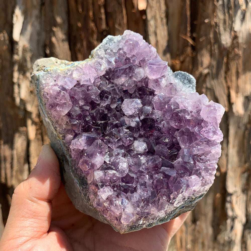 9.2cm 618g Amethyst Cluster from Uruguay