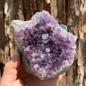 9.2cm 618g Amethyst Cluster from Uruguay