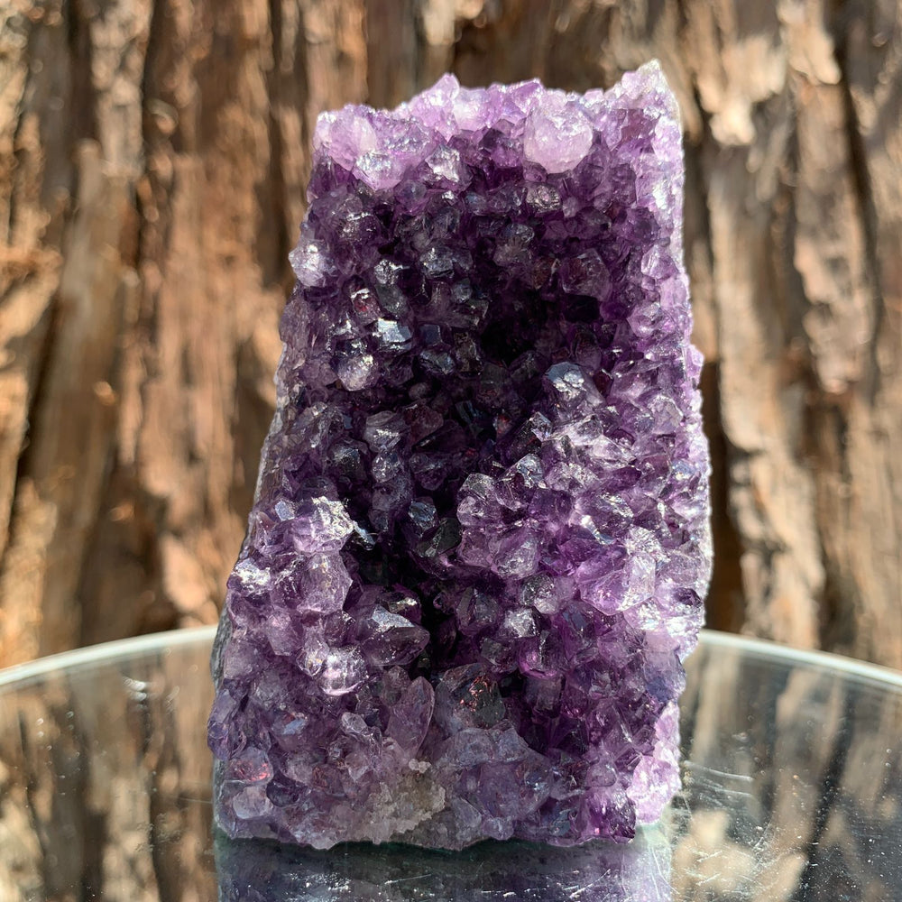9.5cm 502g Amethyst Cluster from Uruguay