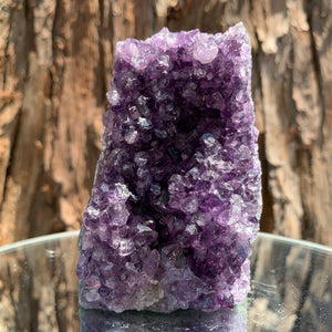 9.5cm 502g Amethyst Cluster from Uruguay