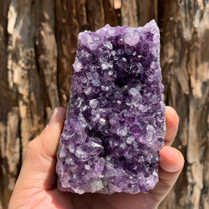 9.5cm 502g Amethyst Cluster from Uruguay