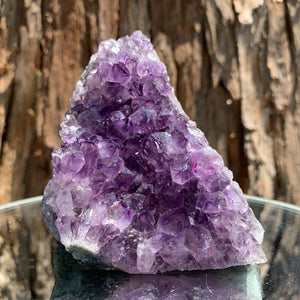 9.3cm 508g Amethyst Cluster from Uruguay