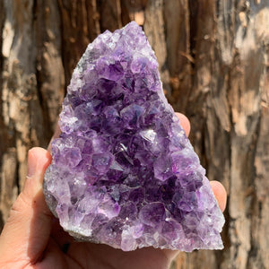9.3cm 508g Amethyst Cluster from Uruguay