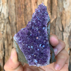 8cm 190g Amethyst Cluster from Uruguay