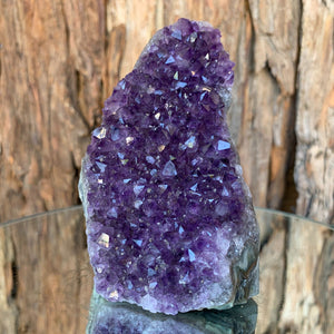 9.5cm 374g Amethyst Cluster from Uruguay