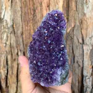9.5cm 374g Amethyst Cluster from Uruguay
