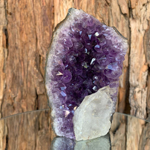 12cm 464g Amethyst Cluster from Uruguay