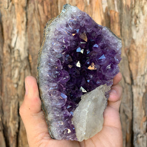 12cm 464g Amethyst Cluster from Uruguay