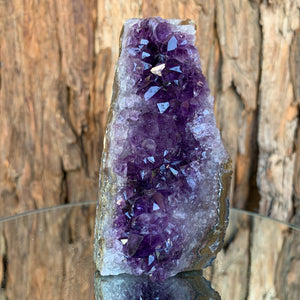 11cm 452g Amethyst Cluster from Uruguay