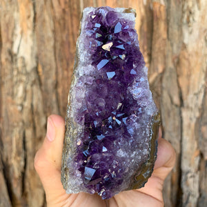 11cm 452g Amethyst Cluster from Uruguay