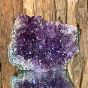 9.5cm 438g Amethyst Cluster from Uruguay