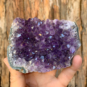 9.5cm 438g Amethyst Cluster from Uruguay
