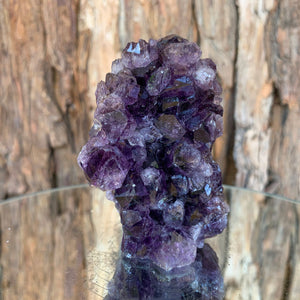 
            
                Load image into Gallery viewer, 8cm 314g Amethyst Cluster from Uruguay
            
        
