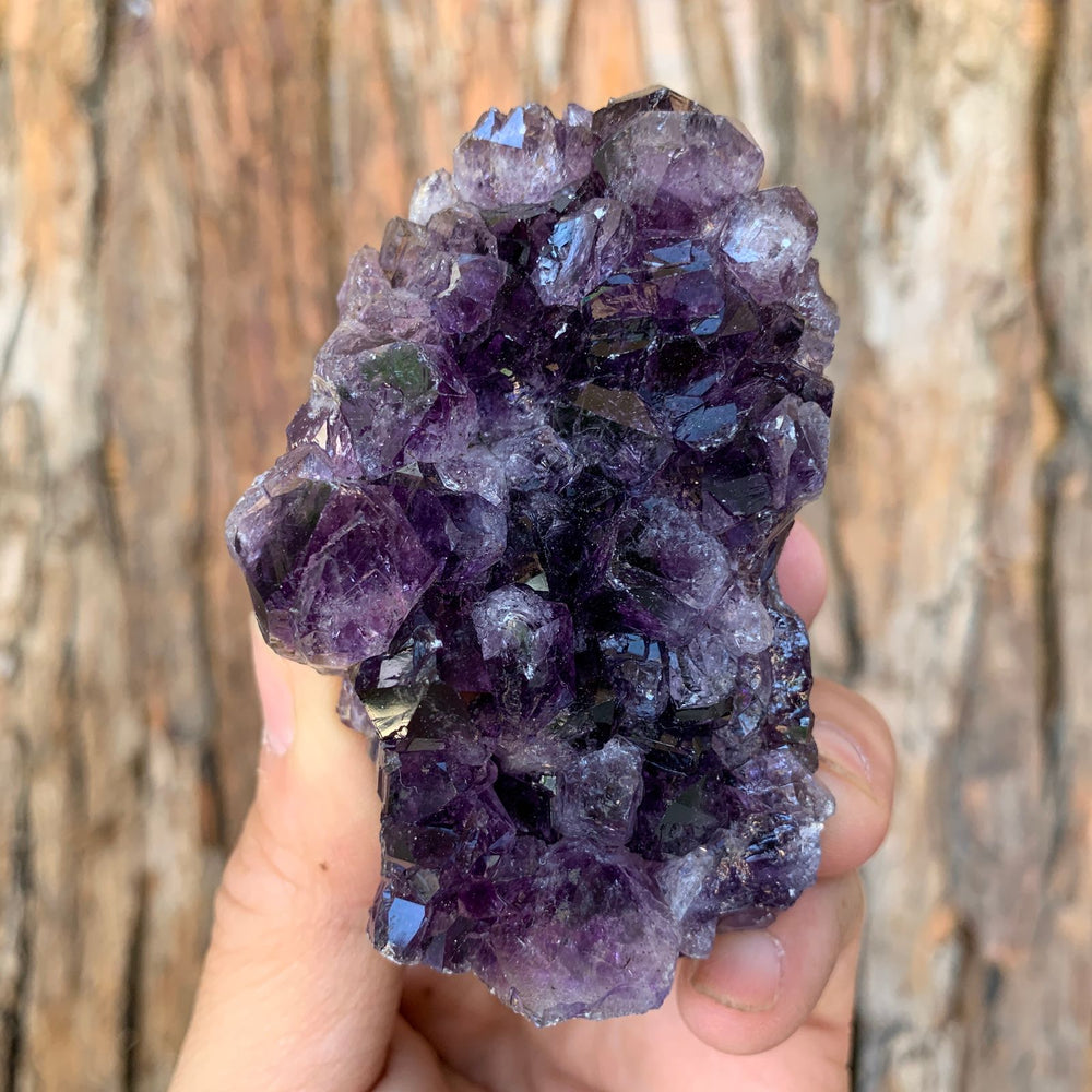 8cm 314g Amethyst Cluster from Uruguay