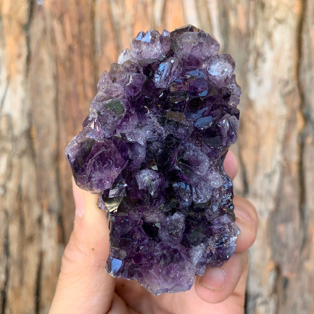 
            
                Load image into Gallery viewer, 8cm 314g Amethyst Cluster from Uruguay
            
        