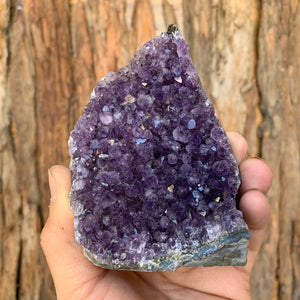 
            
                Load image into Gallery viewer, 9.5cm 444g Amethyst Cluster from Uruguay
            
        