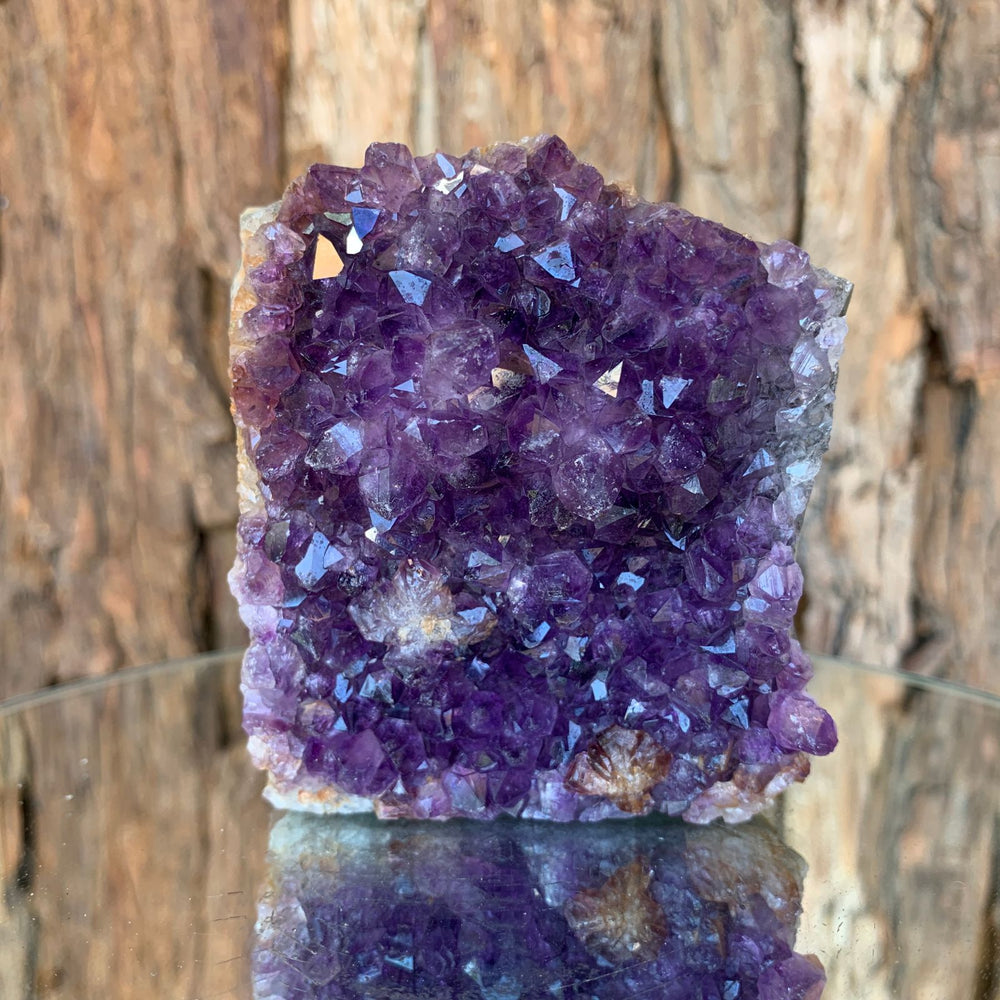 8cm 380g Amethyst Cluster from Uruguay