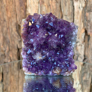 8cm 380g Amethyst Cluster from Uruguay