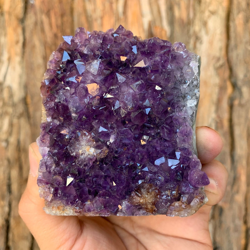 8cm 380g Amethyst Cluster from Uruguay