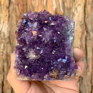 8cm 380g Amethyst Cluster from Uruguay
