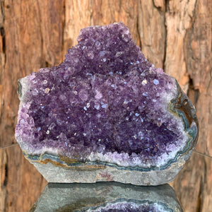 12.3cm 796g Amethyst Cluster from Uruguay