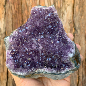 12.3cm 796g Amethyst Cluster from Uruguay