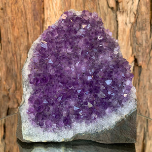 12.5cm 746g Amethyst Cluster from Uruguay