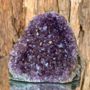 9.5cm 606g Amethyst Cluster from Uruguay