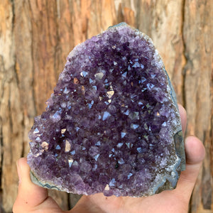 
            
                Load image into Gallery viewer, 9.5cm 606g Amethyst Cluster from Uruguay
            
        