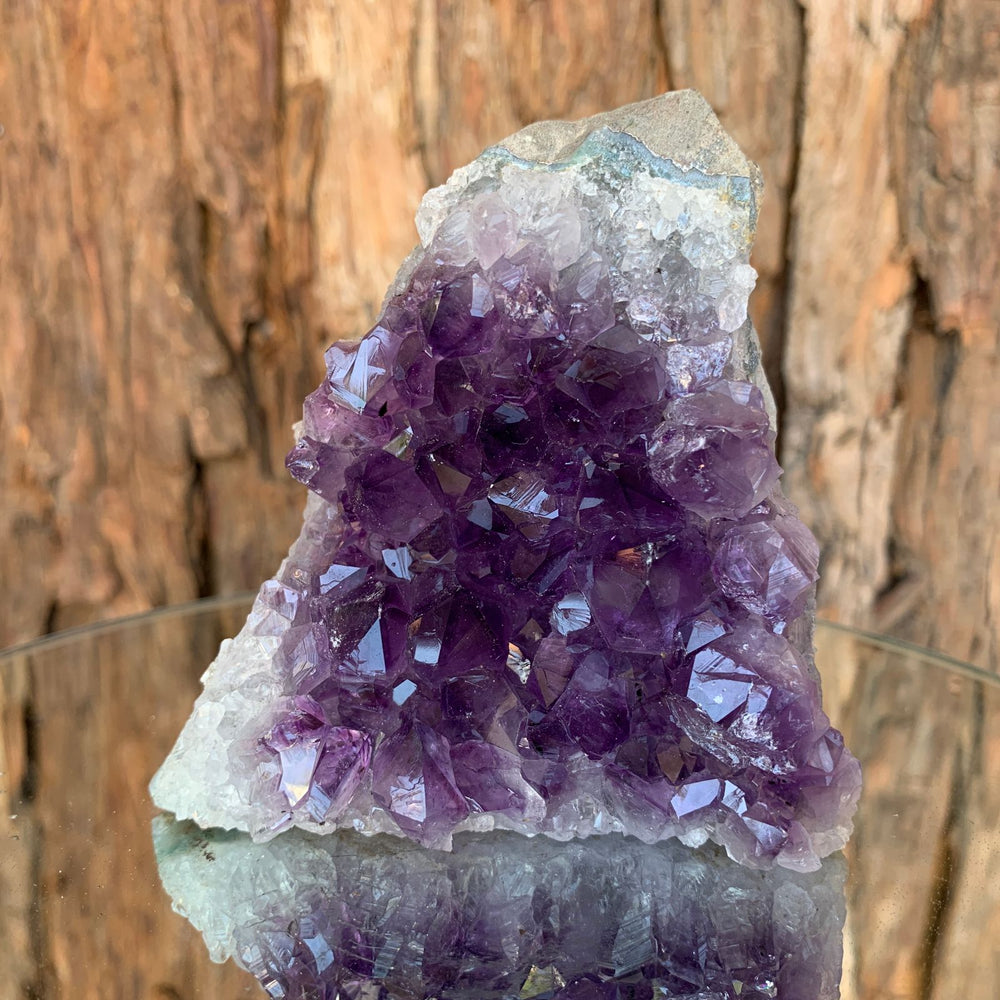 
            
                Load image into Gallery viewer, 9cm 478g Amethyst Cluster from Uruguay
            
        
