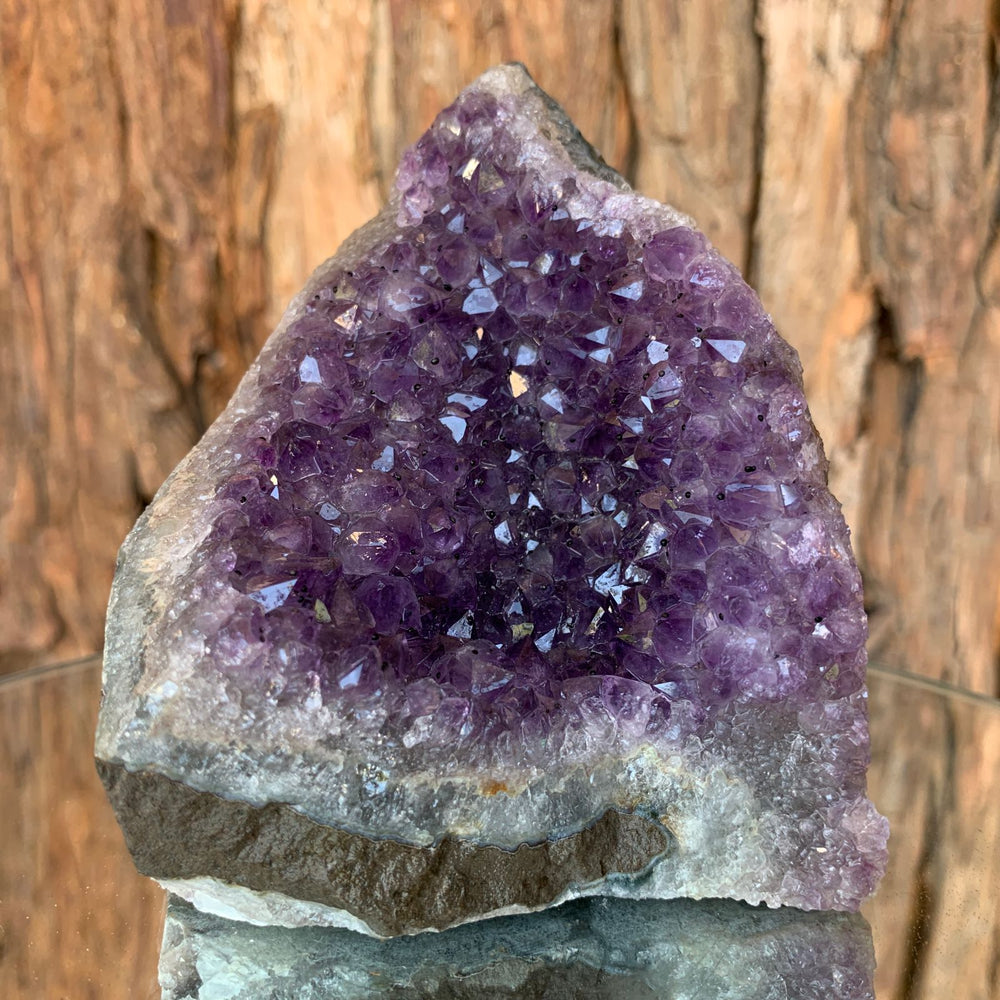 
            
                Load image into Gallery viewer, 10cm 618g Amethyst Cluster from Uruguay
            
        